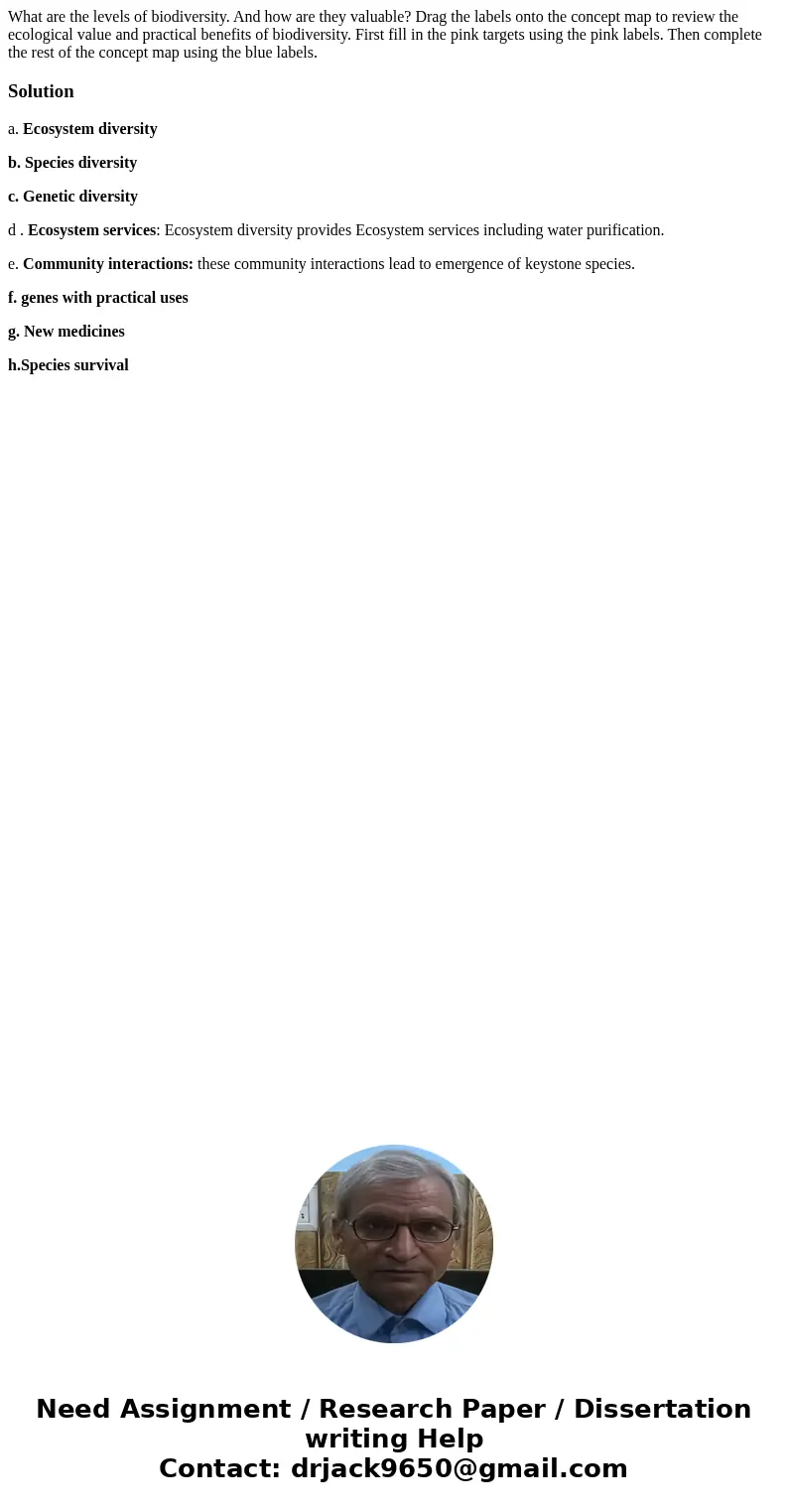 What are the levels of biodiversity. And how are they valuable? Drag the labels onto the concept map to review the ecological value and practical benefits of b  What are the levels of biodiversity. And how are they valuable? Drag the labels onto the concept map to review the ecological value and practical benefits of b