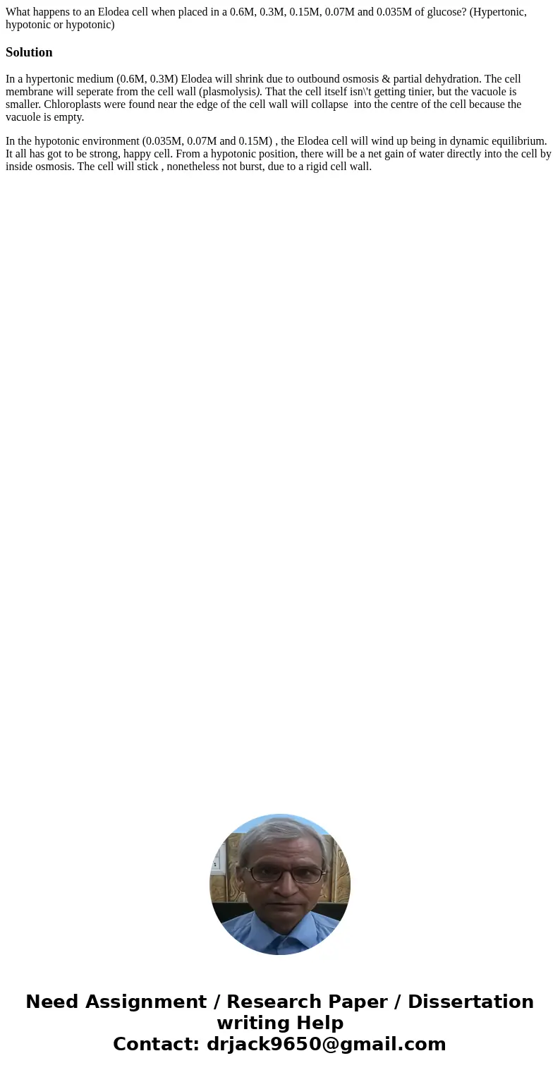 What happens to an Elodea cell when placed in a 0.6M, 0.3M, 0.15M, 0.07M and 0.035M of glucose? (Hypertonic, hypotonic or hypotonic)SolutionIn a hypertonic medi What happens to an Elodea cell when placed in a 0.6M, 0.3M, 0.15M, 0.07M and 0.035M of glucose? (Hypertonic, hypotonic or hypotonic)SolutionIn a hypertonic medi