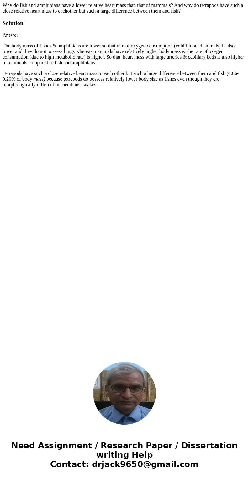 Why do fish and amphibians have a lower relative heart mass than that of mammals? And why do tetrapods have such a close relative heart mass to eachother but su Why do fish and amphibians have a lower relative heart mass than that of mammals? And why do tetrapods have such a close relative heart mass to eachother but su