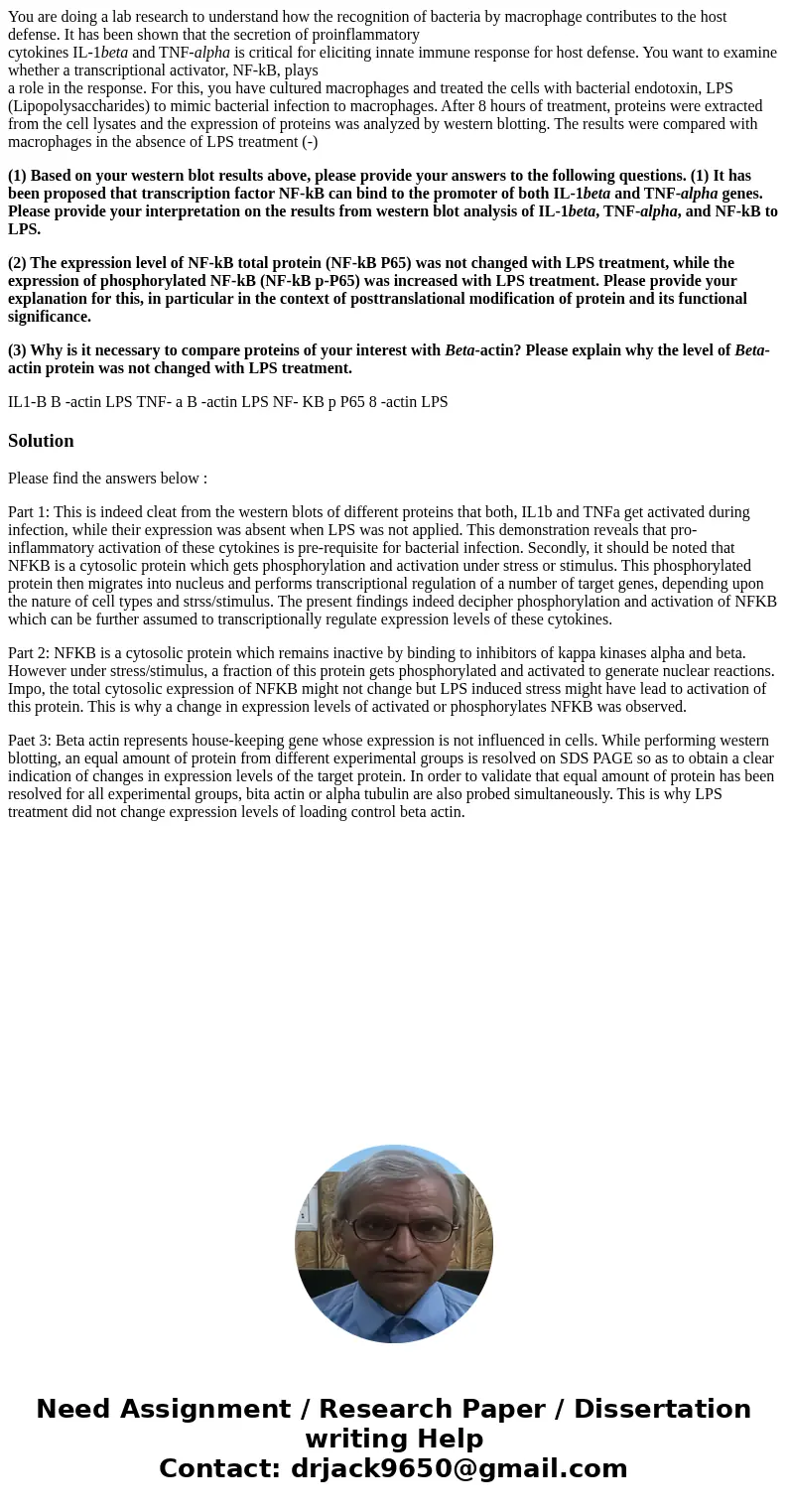 You are doing a lab research to understand how the recognition of bacteria by macrophage contributes to the host defense. It has been shown that the secretion o You are doing a lab research to understand how the recognition of bacteria by macrophage contributes to the host defense. It has been shown that the secretion o