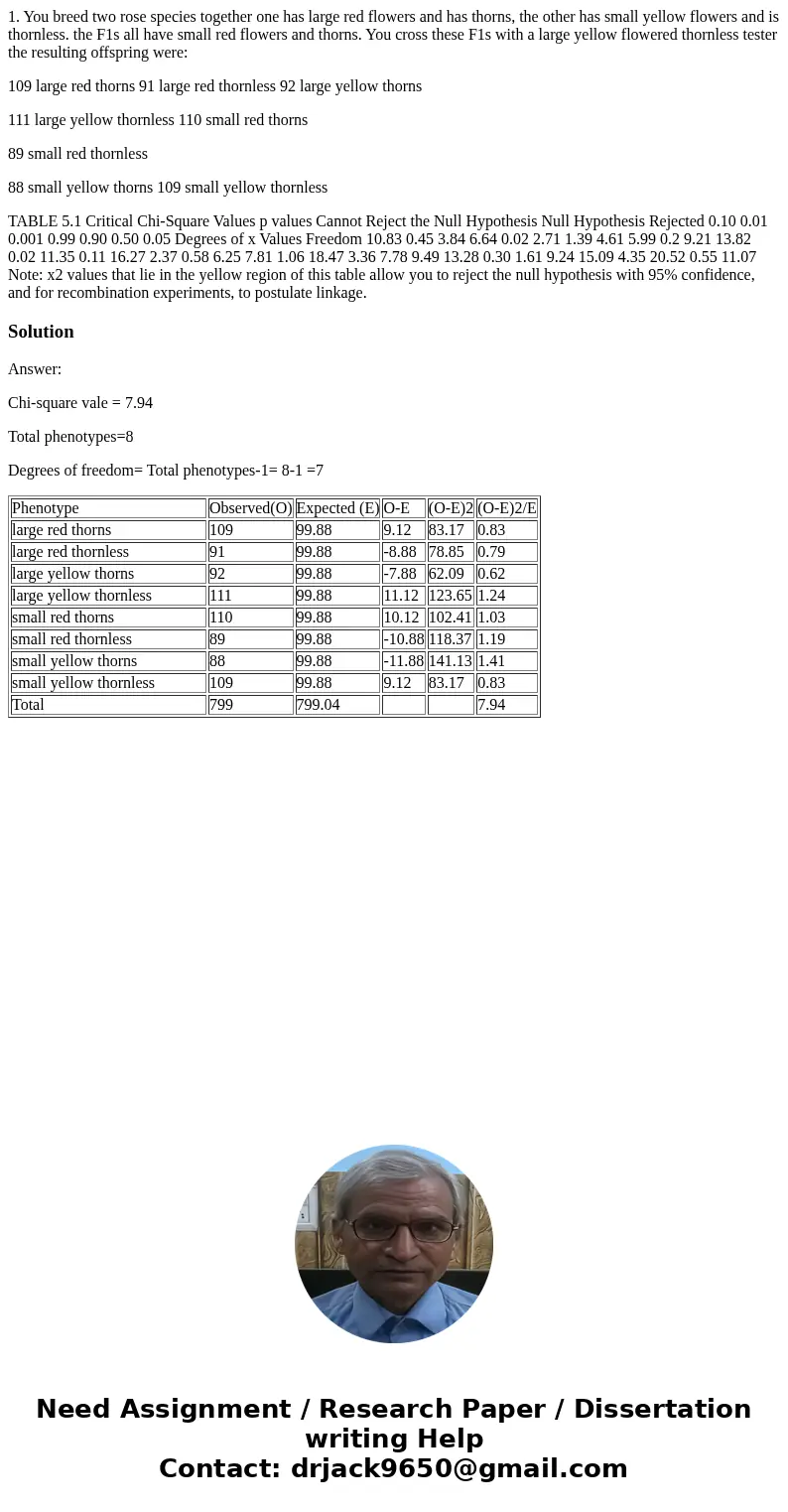 1. You breed two rose species together one has large red flowers and has thorns, the other has small yellow flowers and is thornless. the F1s all have small red 1. You breed two rose species together one has large red flowers and has thorns, the other has small yellow flowers and is thornless. the F1s all have small red