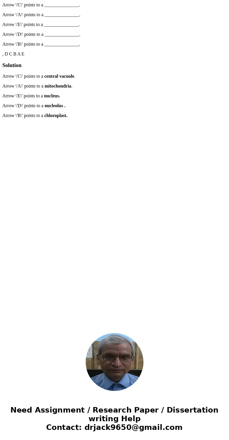 Arrow \'C\' points to a _______________. Arrow \'A\' points to a _______________. Arrow \'E\' points to a _______________. Arrow \'D\' points to a _____________