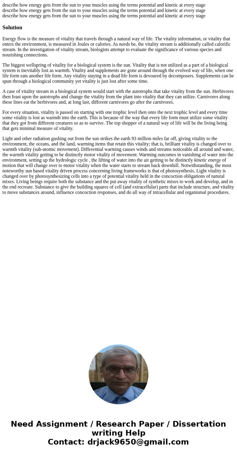 describe how energy gets from the sun to your muscles using the terms potential and kinetic at every stage describe how energy gets from the sun to your muscle  describe how energy gets from the sun to your muscles using the terms potential and kinetic at every stage describe how energy gets from the sun to your muscle