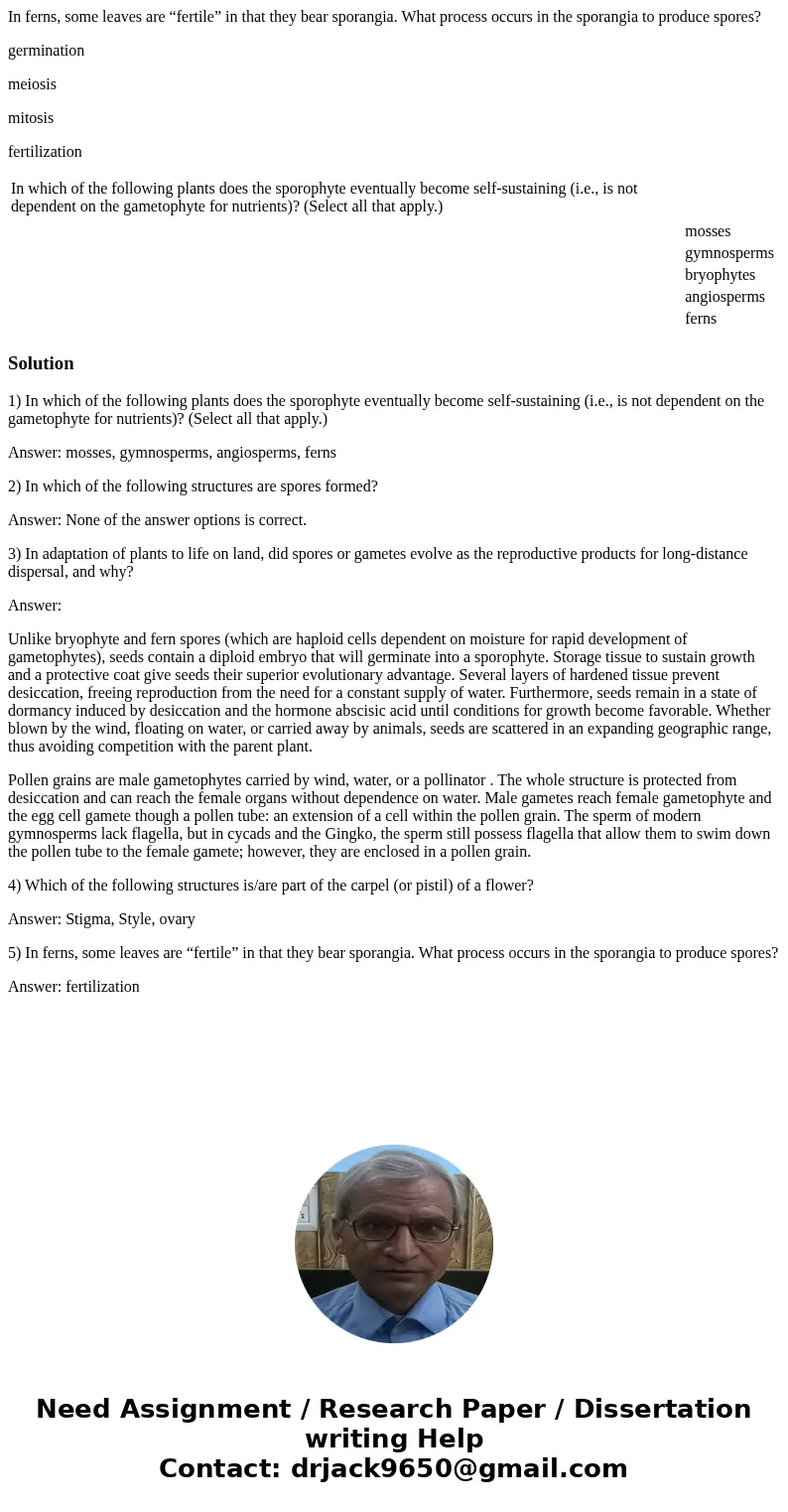 In ferns, some leaves are “fertile” in that they bear sporangia. What process occurs in the sporangia to produce spores? germination meiosis mitosis fertilizati