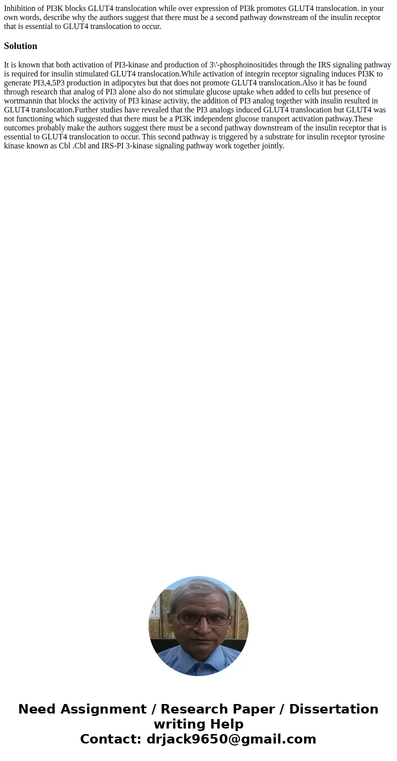 Inhibition of PI3K blocks GLUT4 translocation while over expression of PI3k promotes GLUT4 translocation. in your own words, describe why the authors suggest th