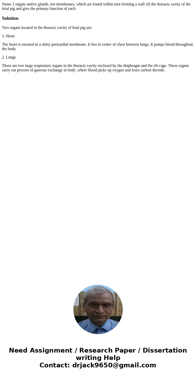  Name 2 organs and/or glands, not membranes, which are found within (not forming a wall of) the thoracic cavity of the fetal pig and give the primary function o