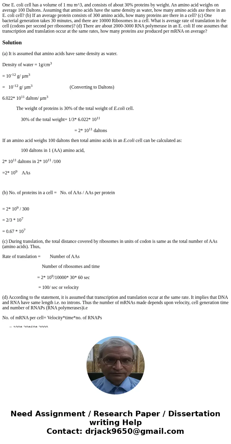 One E. coli cell has a volume of 1 mu m^3, and consists of about 30% proteins by weight. An amino acid weighs on average 100 Daltons. Assuming that amino acids  One E. coli cell has a volume of 1 mu m^3, and consists of about 30% proteins by weight. An amino acid weighs on average 100 Daltons. Assuming that amino acids