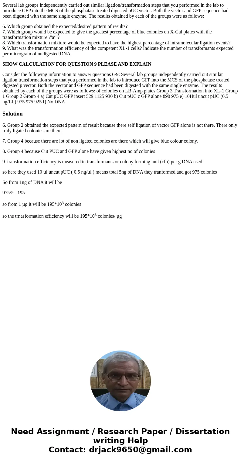 Several lab groups independently carried out similar ligation/transformation steps that you performed in the lab to introduce GFP into the MCS of the phosphatas