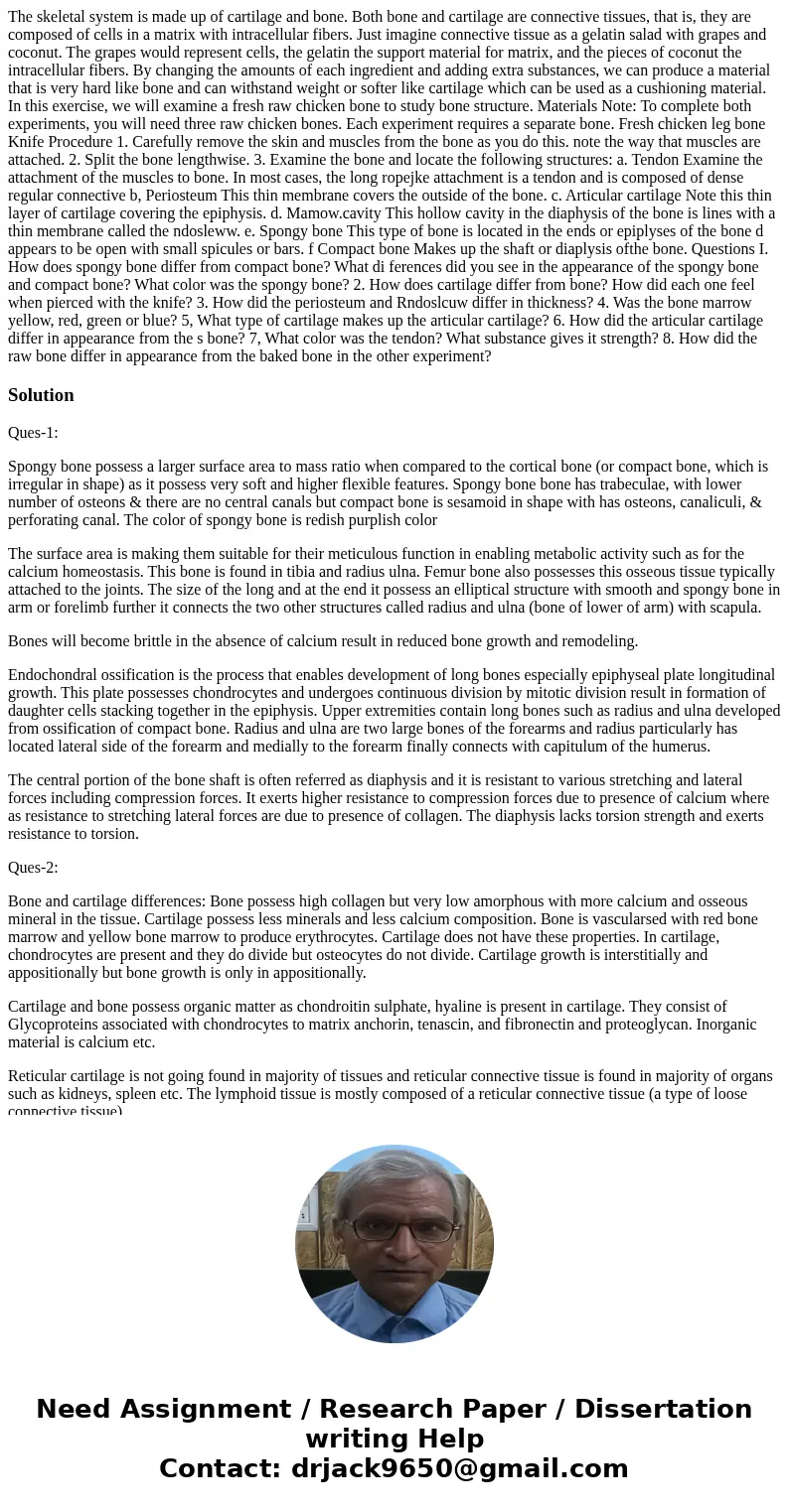  The skeletal system is made up of cartilage and bone. Both bone and cartilage are connective tissues, that is, they are composed of cells in a matrix with intr