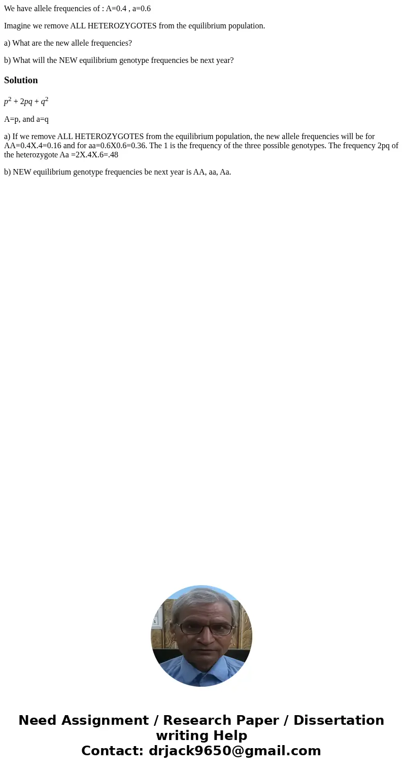 We have allele frequencies of : A=0.4 , a=0.6 Imagine we remove ALL HETEROZYGOTES from the equilibrium population. a) What are the new allele frequencies? b) Wh We have allele frequencies of : A=0.4 , a=0.6 Imagine we remove ALL HETEROZYGOTES from the equilibrium population. a) What are the new allele frequencies? b) Wh