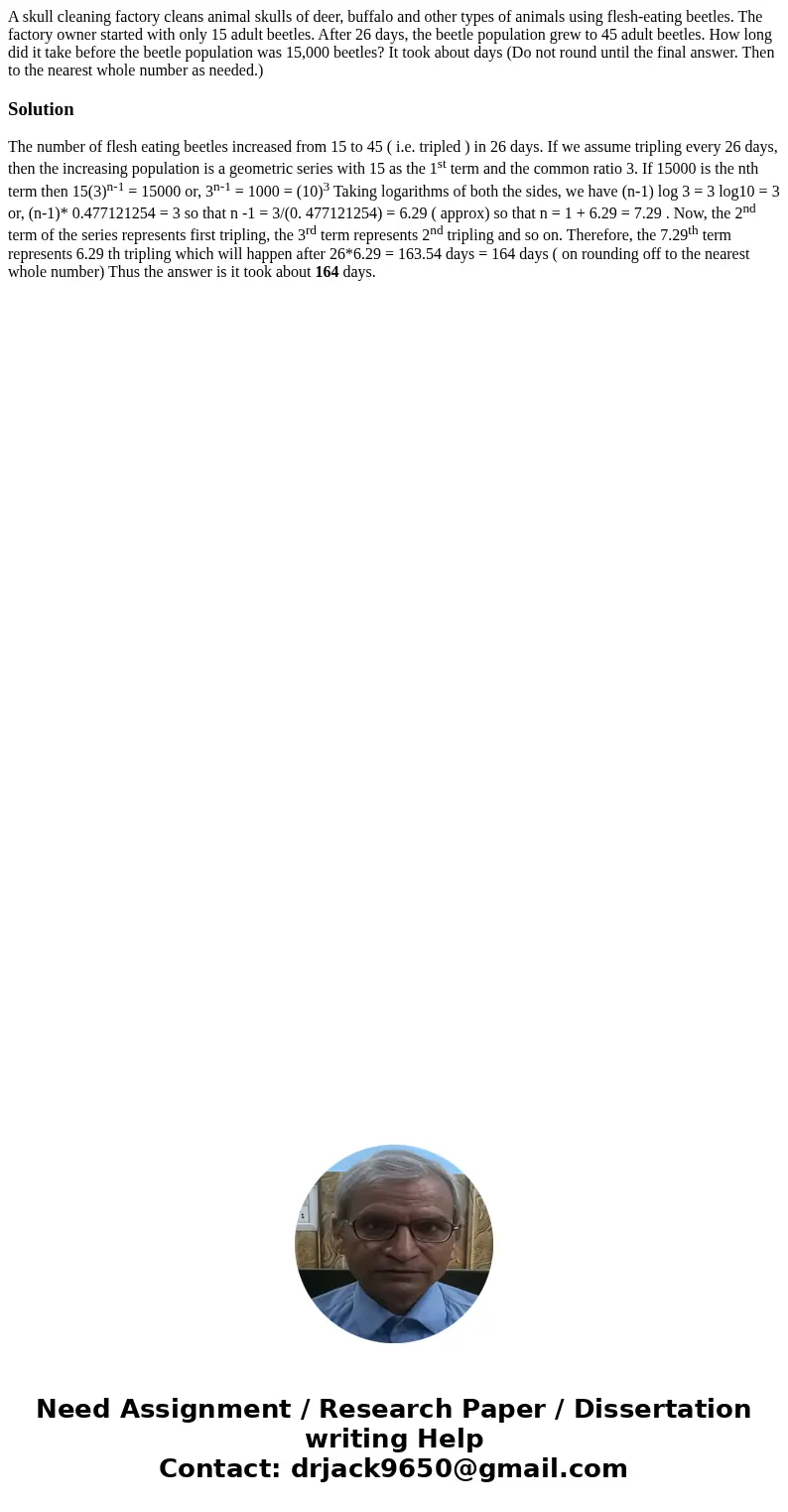 A skull cleaning factory cleans animal skulls of deer, buffalo and other types of animals using flesh-eating beetles. The factory owner started with only 15 ad  A skull cleaning factory cleans animal skulls of deer, buffalo and other types of animals using flesh-eating beetles. The factory owner started with only 15 ad