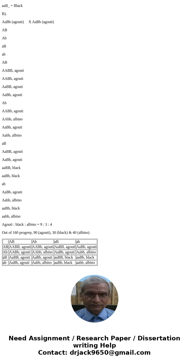  Coat color in mice is determined by two independently assorting but interacting gene loci. The dominant gene (B) at one locus allows a colorless precursor to f