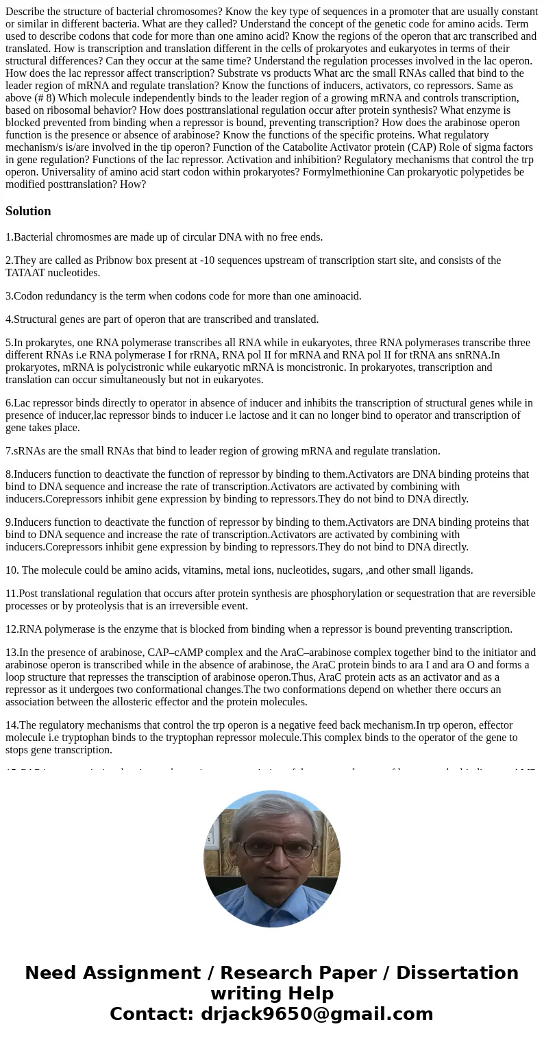Describe the structure of bacterial chromosomes? Know the key type of sequences in a promoter that are usually constant or similar in different bacteria. What   Describe the structure of bacterial chromosomes? Know the key type of sequences in a promoter that are usually constant or similar in different bacteria. What