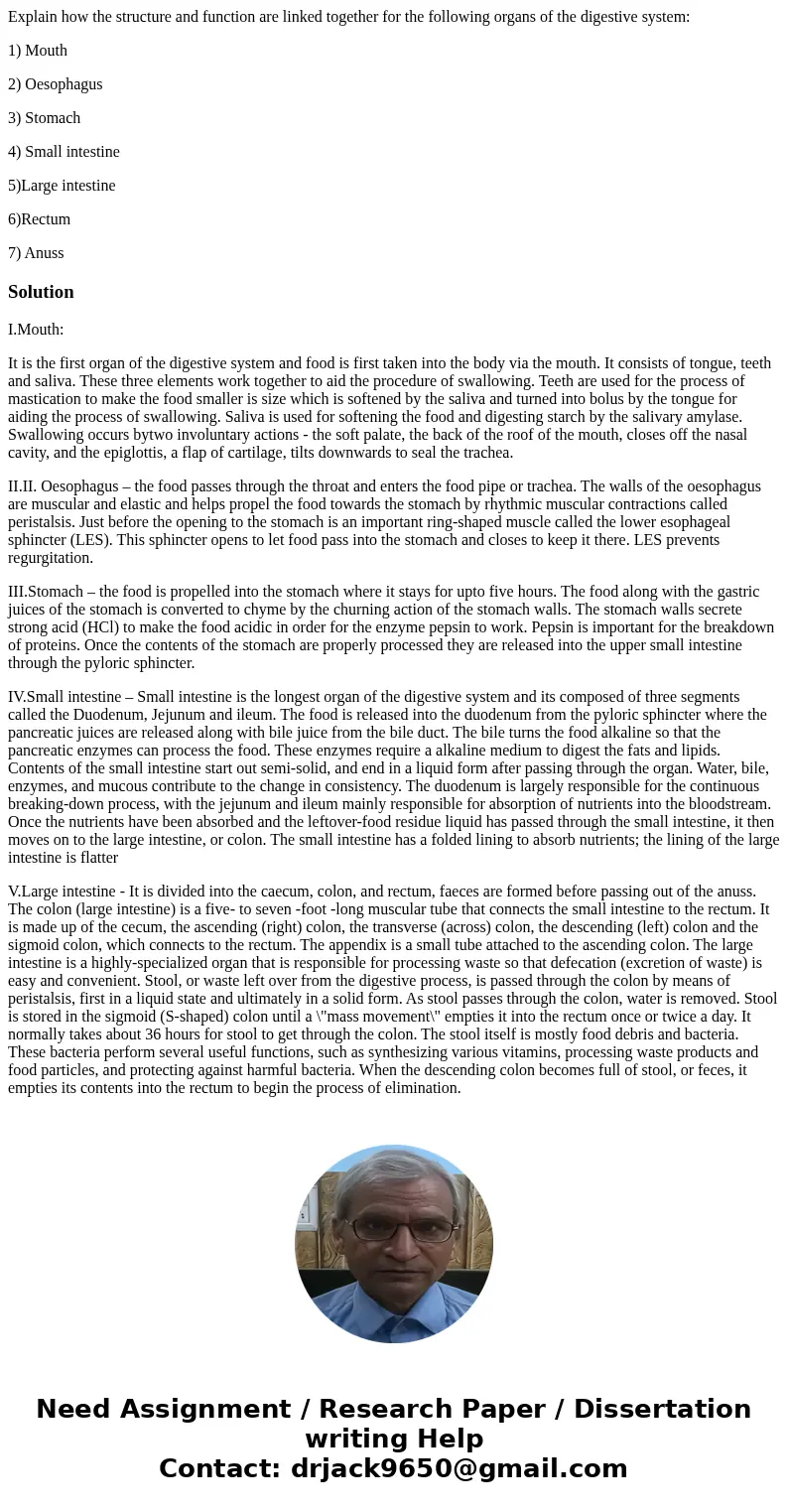 Explain how the structure and function are linked together for the following organs of the digestive system: 1) Mouth 2) Oesophagus 3) Stomach 4) Small intestin Explain how the structure and function are linked together for the following organs of the digestive system: 1) Mouth 2) Oesophagus 3) Stomach 4) Small intestin