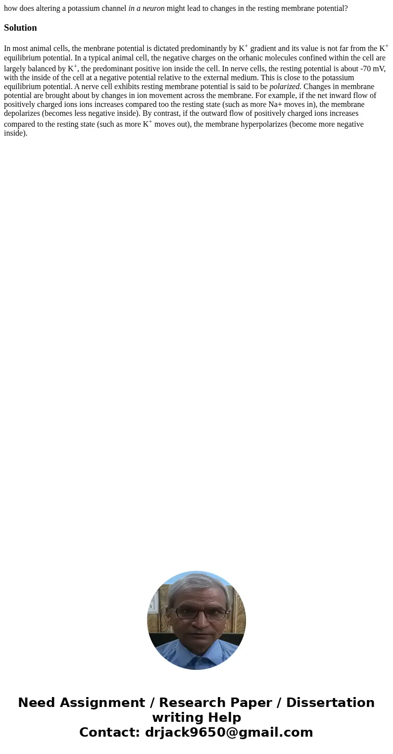 how does altering a potassium channel in a neuron might lead to changes in the resting membrane potential?SolutionIn most animal cells, the menbrane potential i