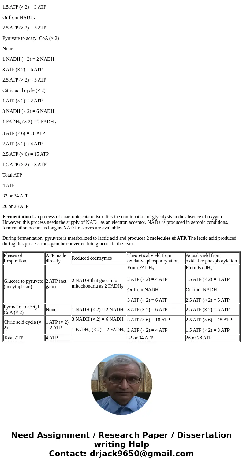How many ATP molecules are produced by Cellular respiration and by Fermentationa? How many ATP molecules are produced by Cellular respiration and by Fermentatio
