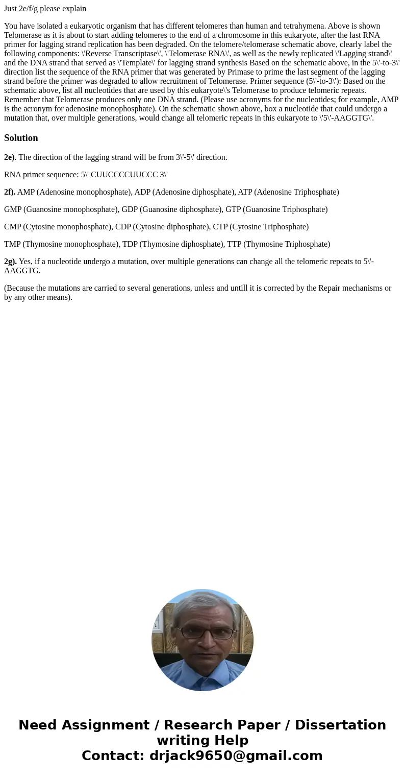 Just 2e/f/g please explain You have isolated a eukaryotic organism that has different telomeres than human and tetrahymena. Above is shown Telomerase as it is a Just 2e/f/g please explain You have isolated a eukaryotic organism that has different telomeres than human and tetrahymena. Above is shown Telomerase as it is a