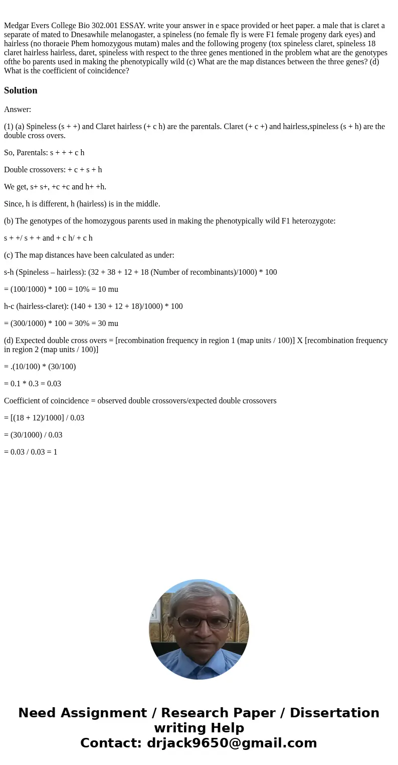  Medgar Evers College Bio 302.001 ESSAY. write your answer in e space provided or heet paper. a male that is claret a separate of mated to Dnesawhile melanogast