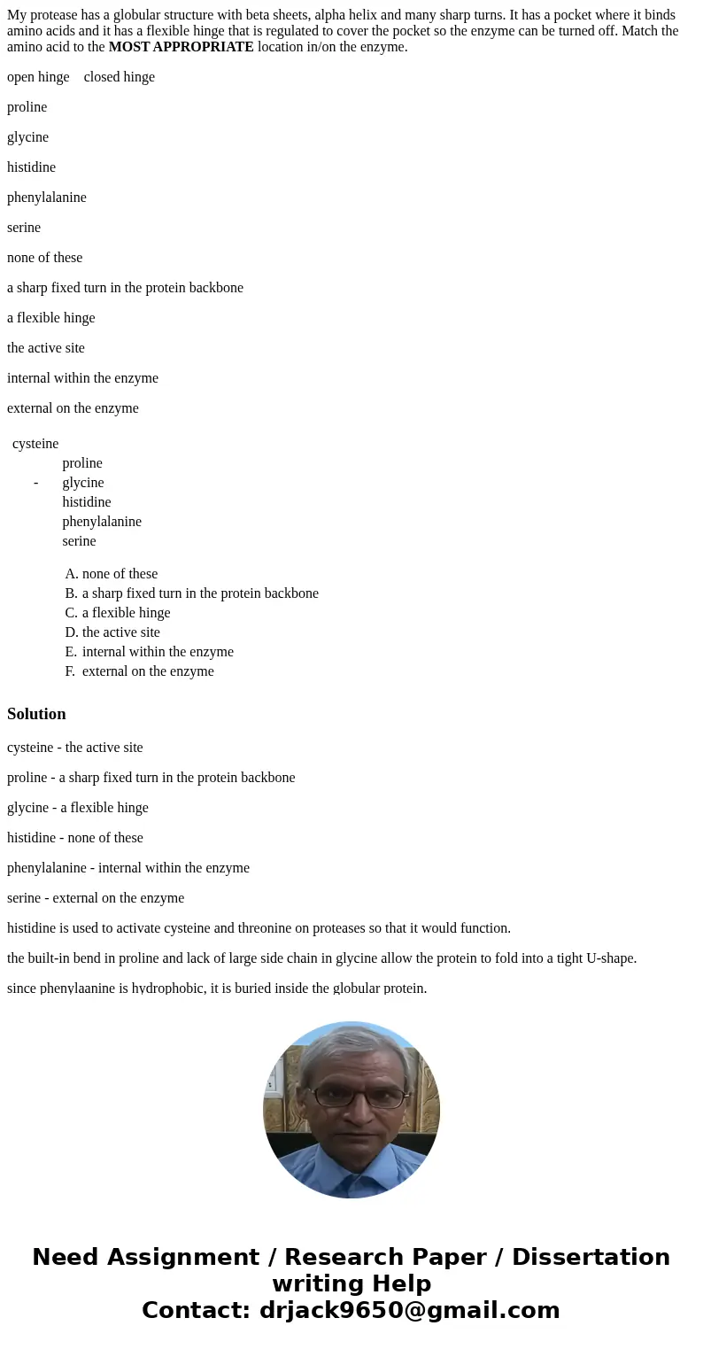 My protease has a globular structure with beta sheets, alpha helix and many sharp turns. It has a pocket where it binds amino acids and it has a flexible hinge  My protease has a globular structure with beta sheets, alpha helix and many sharp turns. It has a pocket where it binds amino acids and it has a flexible hinge