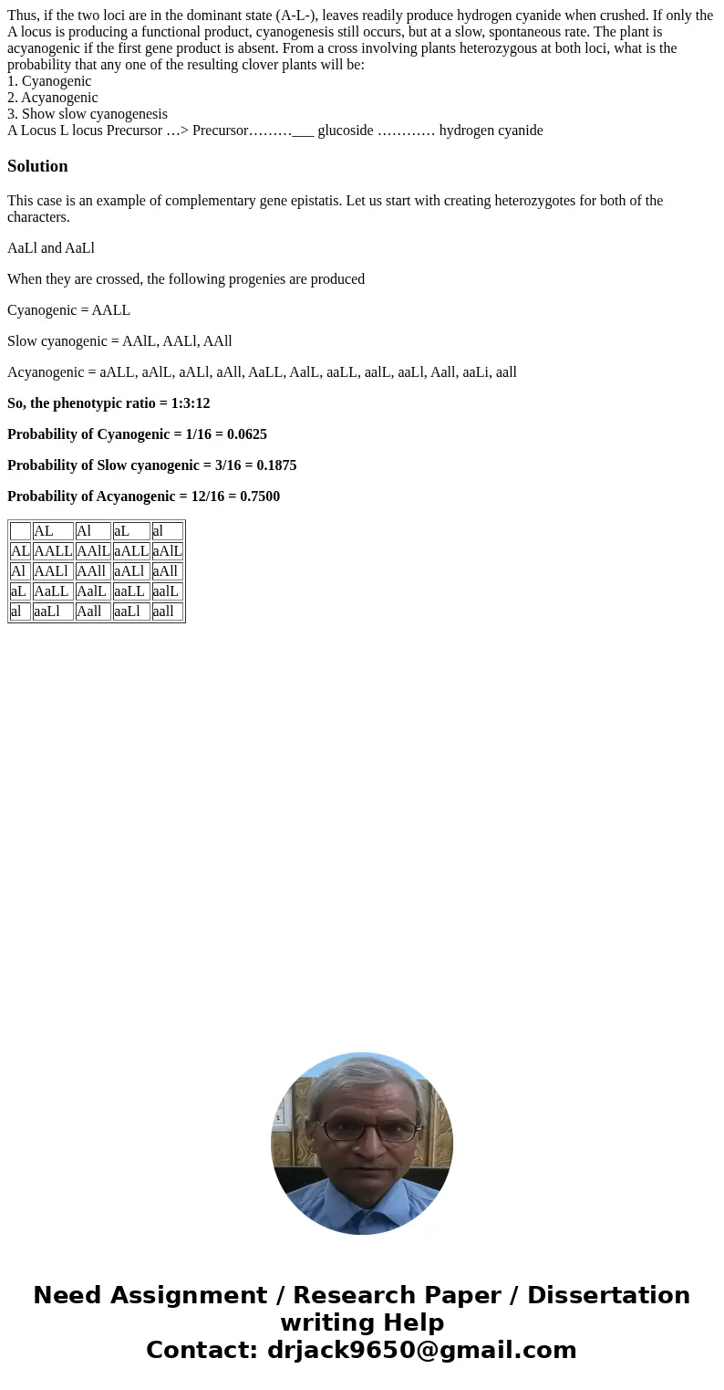 Thus, if the two loci are in the dominant state (A-L-), leaves readily produce hydrogen cyanide when crushed. If only the A locus is producing a functional prod Thus, if the two loci are in the dominant state (A-L-), leaves readily produce hydrogen cyanide when crushed. If only the A locus is producing a functional prod