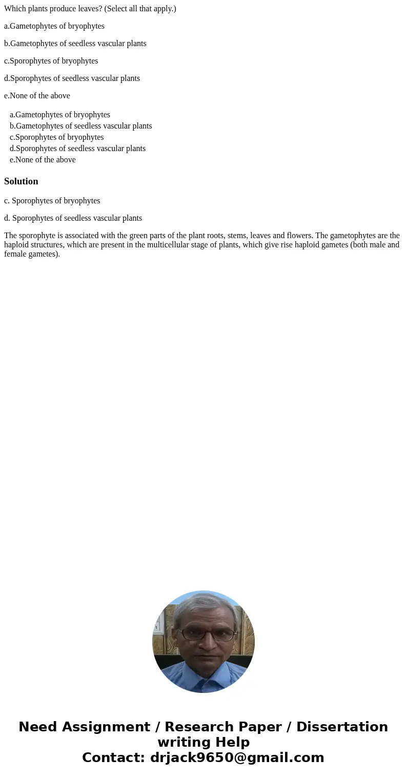 Which plants produce leaves? (Select all that apply.) a.Gametophytes of bryophytes b.Gametophytes of seedless vascular plants c.Sporophytes of bryophytes d.Spor Which plants produce leaves? (Select all that apply.) a.Gametophytes of bryophytes b.Gametophytes of seedless vascular plants c.Sporophytes of bryophytes d.Spor