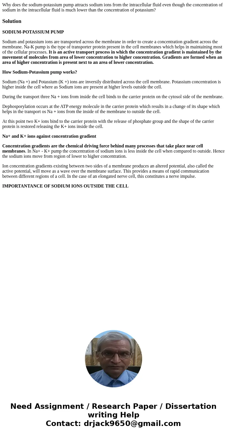 Why does the sodium-potassium pump attracts sodium ions from the intracellular fluid even though the concentration of sodium in the intracellular fluid is much  Why does the sodium-potassium pump attracts sodium ions from the intracellular fluid even though the concentration of sodium in the intracellular fluid is much