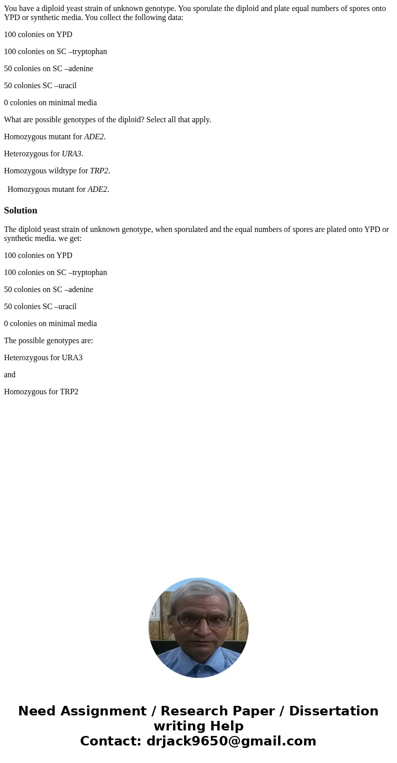 You have a diploid yeast strain of unknown genotype. You sporulate the diploid and plate equal numbers of spores onto YPD or synthetic media. You collect the fo You have a diploid yeast strain of unknown genotype. You sporulate the diploid and plate equal numbers of spores onto YPD or synthetic media. You collect the fo
