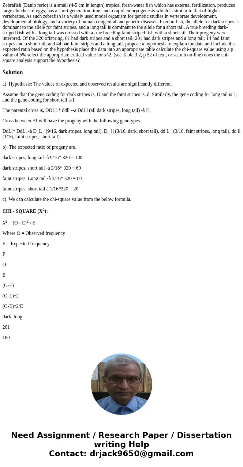 Zebrafish (Danio rerio) is a small (4-5 cm in length) tropical fresh-water fish which has external fertilization, produces large clutches of eggs, has a short   Zebrafish (Danio rerio) is a small (4-5 cm in length) tropical fresh-water fish which has external fertilization, produces large clutches of eggs, has a short