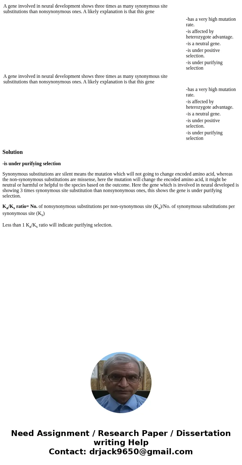  A gene involved in neural development shows three times as many synonymous site substitutions than nonsynonymous ones. A likely explanation is that this gene -