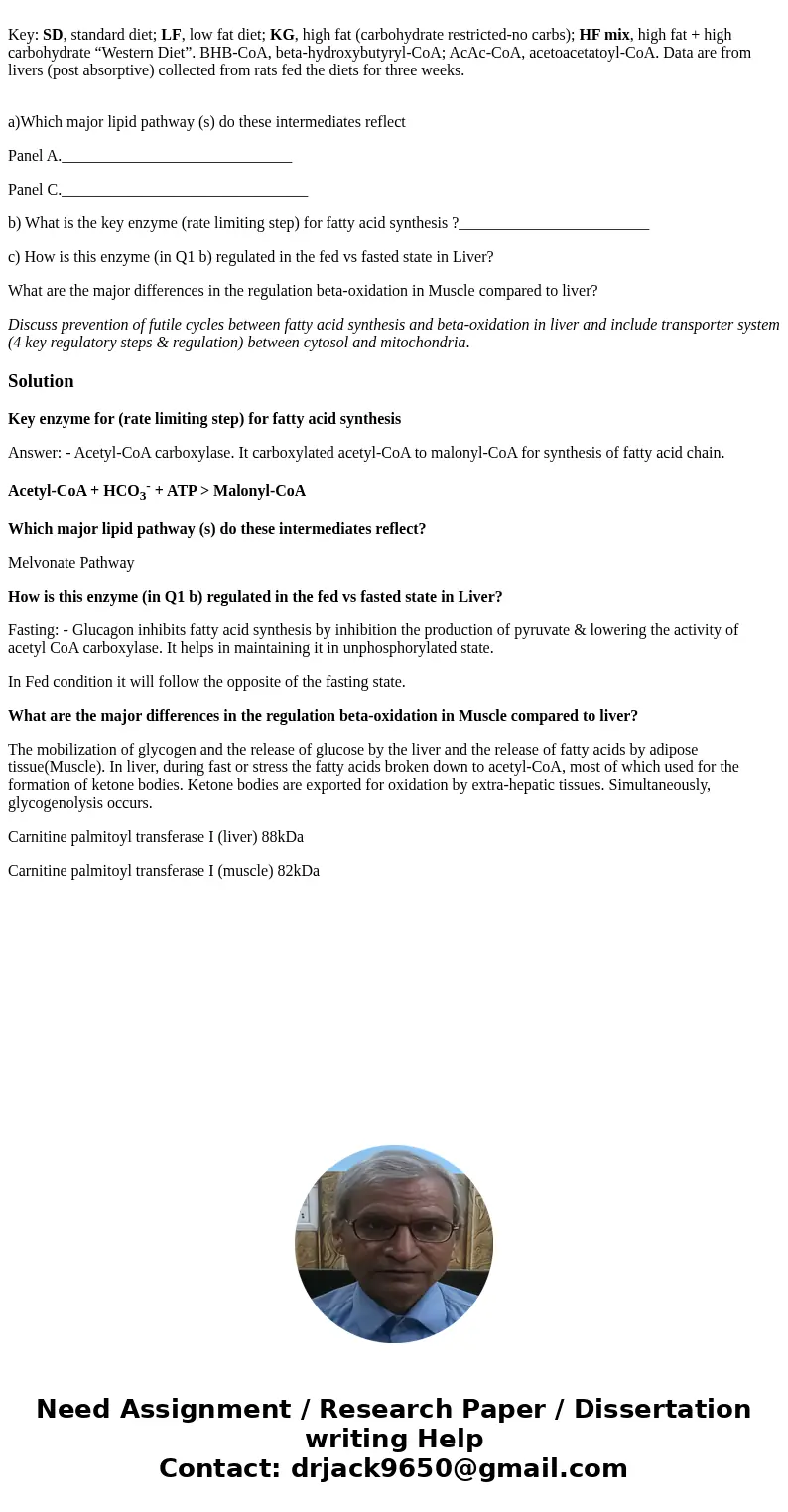 Key: SD, standard diet; LF, low fat diet; KG, high fat (carbohydrate restricted-no carbs); HF mix, high fat + high carbohydrate “Western Diet”. BHB-CoA, beta-h  Key: SD, standard diet; LF, low fat diet; KG, high fat (carbohydrate restricted-no carbs); HF mix, high fat + high carbohydrate “Western Diet”. BHB-CoA, beta-h