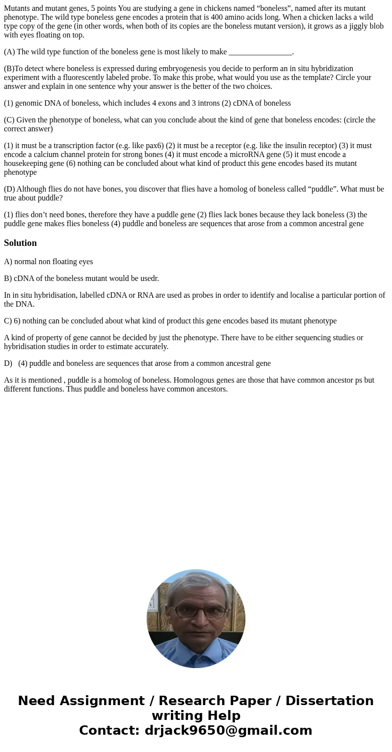 Mutants and mutant genes, 5 points You are studying a gene in chickens named “boneless”, named after its mutant phenotype. The wild type boneless gene encodes a