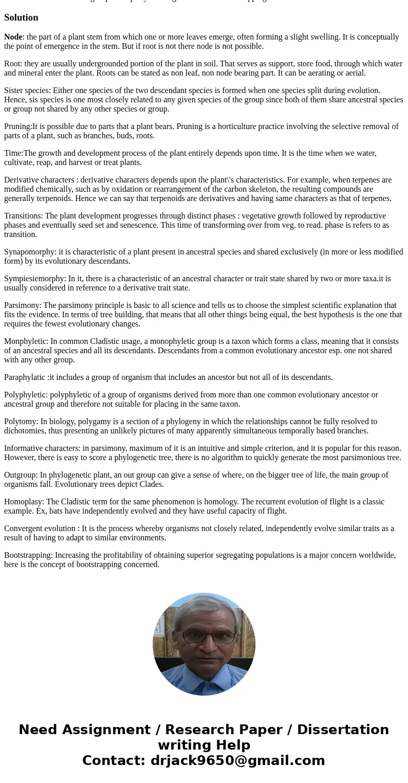  Please define the following terms and build a concept map with them: node root sister species pruning time derived characters transitions synapomorphy sympiesi