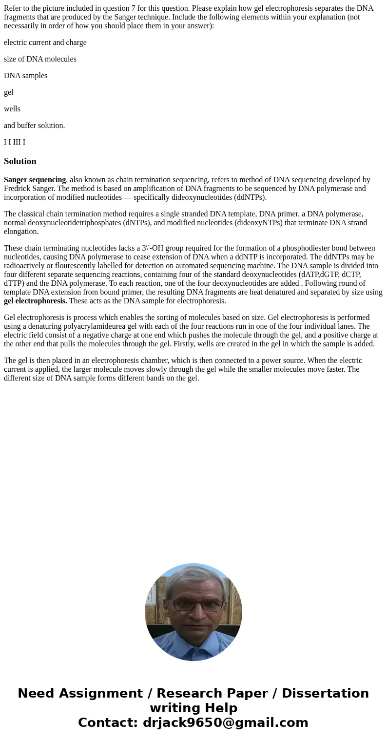 Refer to the picture included in question 7 for this question. Please explain how gel electrophoresis separates the DNA fragments that are produced by the Sange