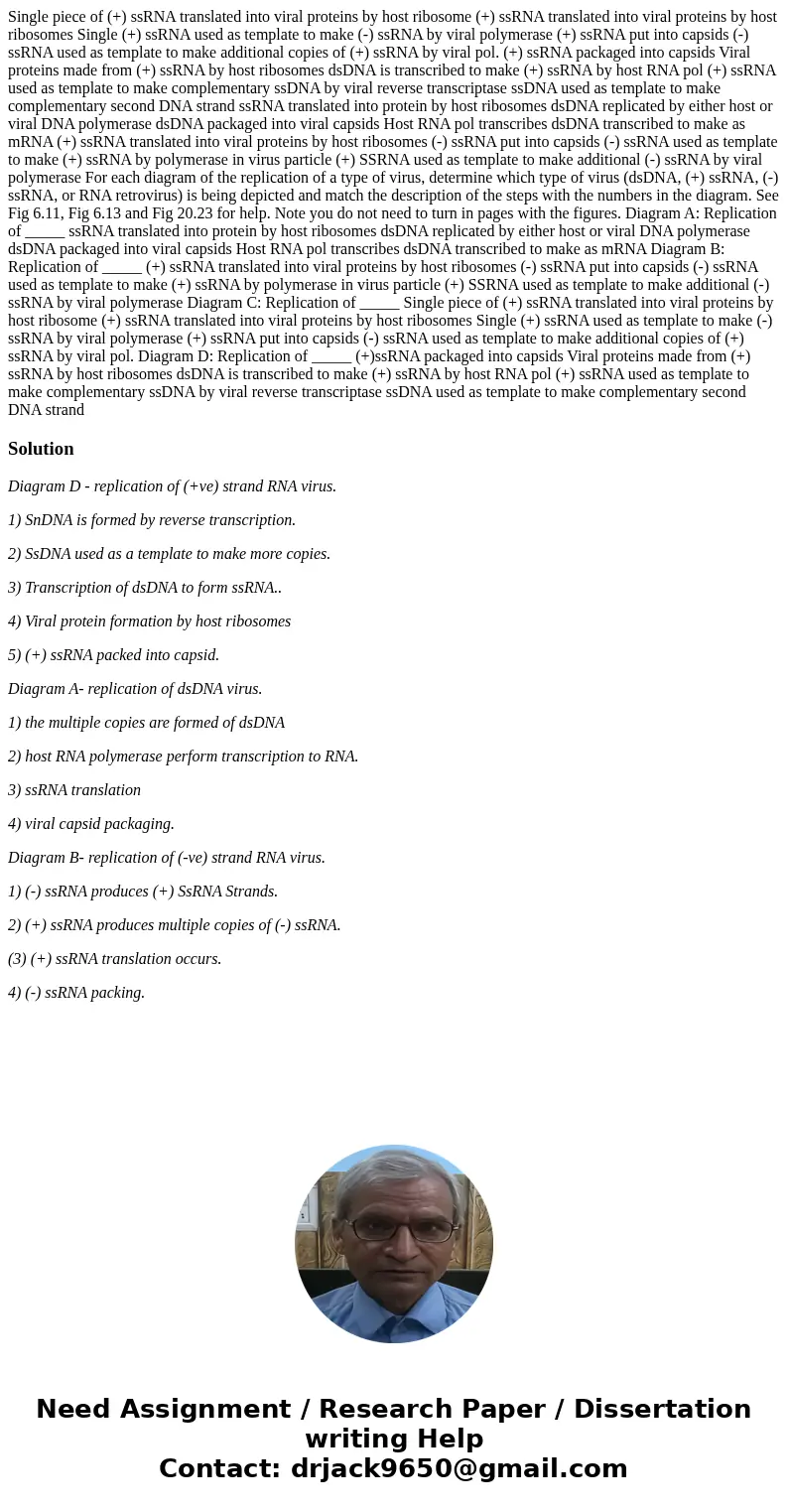  Single piece of (+) ssRNA translated into viral proteins by host ribosome (+) ssRNA translated into viral proteins by host ribosomes Single (+) ssRNA used as t