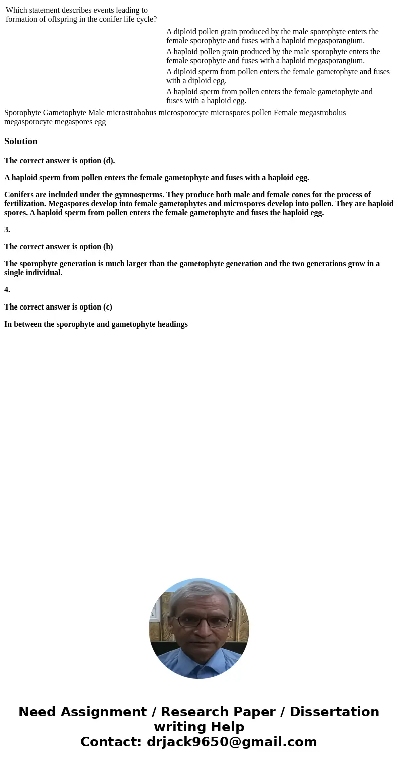  Which statement describes events leading to formation of offspring in the conifer life cycle? A diploid pollen grain produced by the male sporophyte enters the