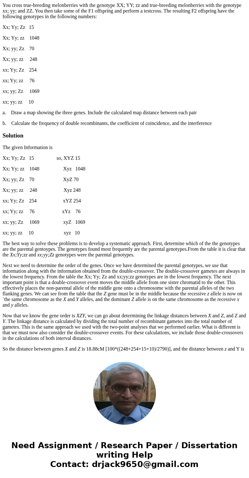 You cross true-breeding melonberries with the genotype XX; YY; zz and true-breeding melonberries with the genotype xx; yy; and ZZ. You then take some of the F1 