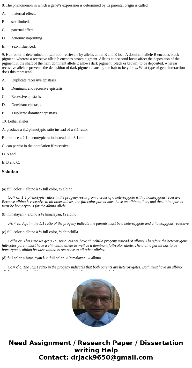 1. In rabbits, an allelic series helps to determine coat color: C (full color), cch (chinchilla; gray color), ch (Himalayan; white with black extremities), and  1. In rabbits, an allelic series helps to determine coat color: C (full color), cch (chinchilla; gray color), ch (Himalayan; white with black extremities), and