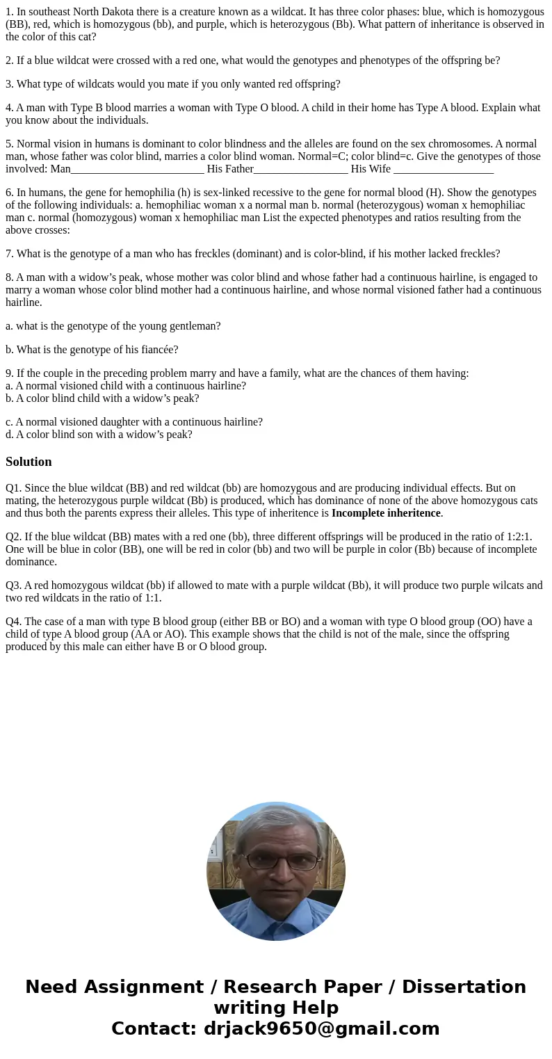 1. In southeast North Dakota there is a creature known as a wildcat. It has three color phases: blue, which is homozygous (BB), red, which is homozygous (bb), a
