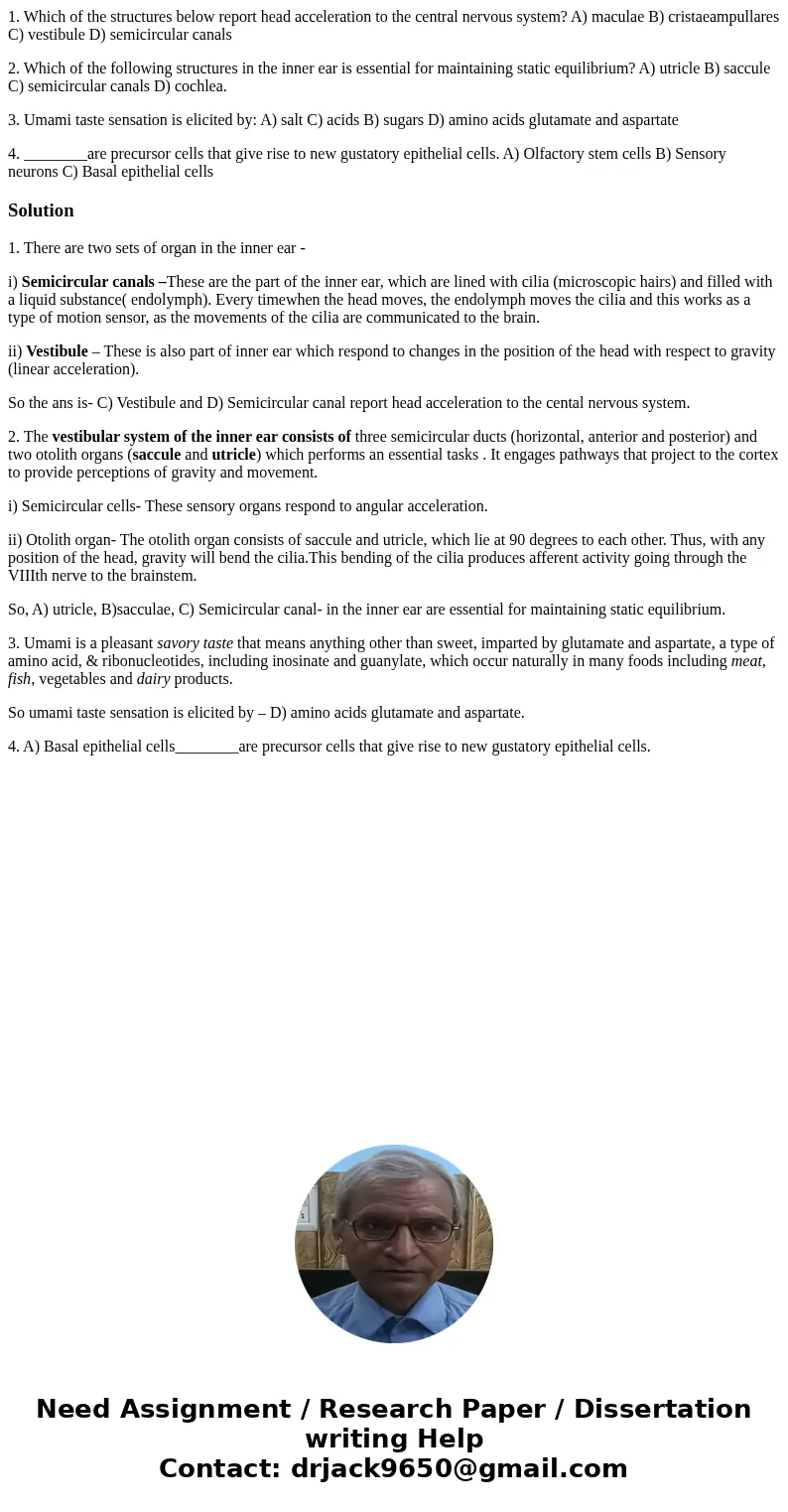 1. Which of the structures below report head acceleration to the central nervous system? A) maculae B) cristaeampullares C) vestibule D) semicircular canals 2.  1. Which of the structures below report head acceleration to the central nervous system? A) maculae B) cristaeampullares C) vestibule D) semicircular canals 2.