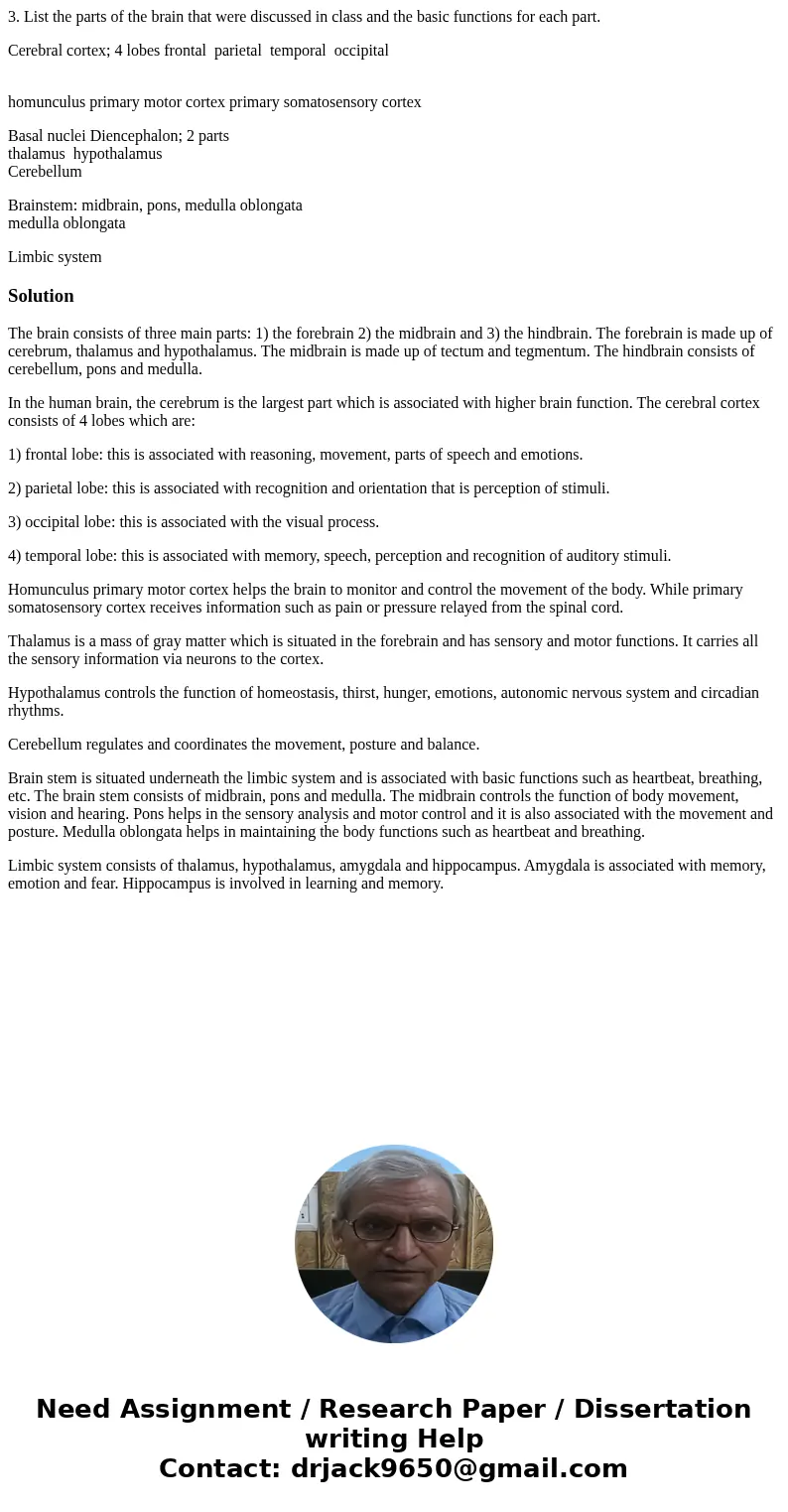 3. List the parts of the brain that were discussed in class and the basic functions for each part. Cerebral cortex; 4 lobes frontal parietal temporal occipital  3. List the parts of the brain that were discussed in class and the basic functions for each part. Cerebral cortex; 4 lobes frontal parietal temporal occipital
