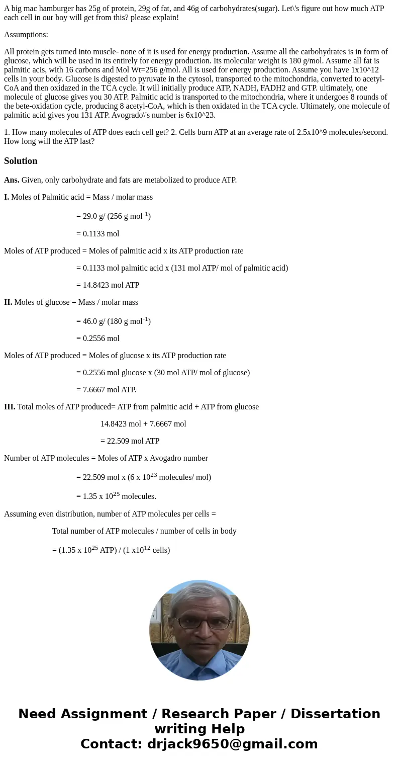 A big mac hamburger has 25g of protein, 29g of fat, and 46g of carbohydrates(sugar). Let\'s figure out how much ATP each cell in our boy will get from this? ple A big mac hamburger has 25g of protein, 29g of fat, and 46g of carbohydrates(sugar). Let\'s figure out how much ATP each cell in our boy will get from this? ple