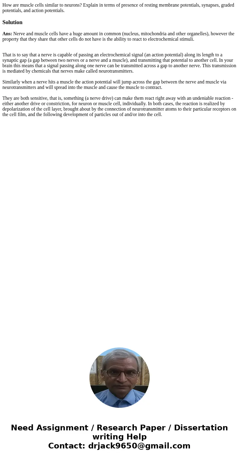 How are muscle cells similar to neurons? Explain in terms of presence of resting membrane potentials, synapses, graded potentials, and action potentials.Solutio How are muscle cells similar to neurons? Explain in terms of presence of resting membrane potentials, synapses, graded potentials, and action potentials.Solutio