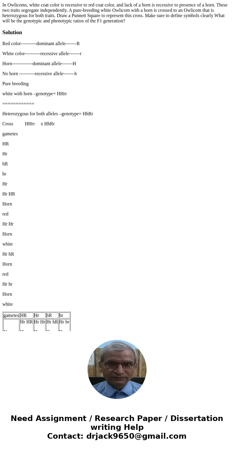 In Owlicoms, white coat color is recessive to red coat color, and lack of a horn is recessive to presence of a horn. These two traits segregate independently.   In Owlicoms, white coat color is recessive to red coat color, and lack of a horn is recessive to presence of a horn. These two traits segregate independently.