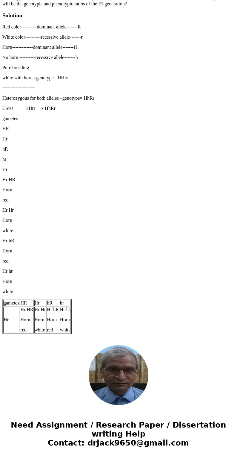 In Owlicoms, white coat color is recessive to red coat color, and lack of a horn is recessive to presence of a horn. These two traits segregate independently.   In Owlicoms, white coat color is recessive to red coat color, and lack of a horn is recessive to presence of a horn. These two traits segregate independently.
