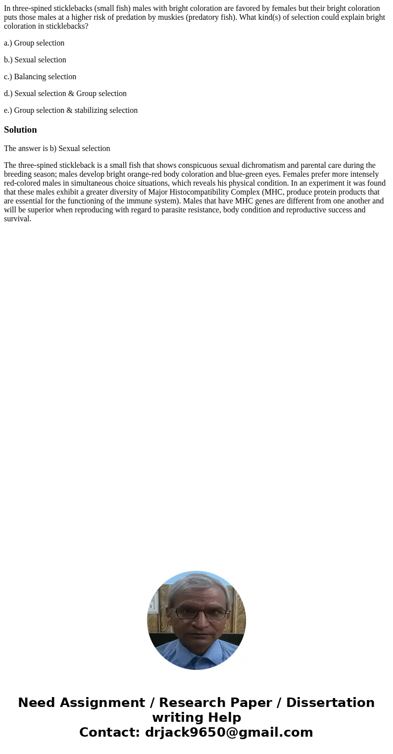 In three-spined sticklebacks (small fish) males with bright coloration are favored by females but their bright coloration puts those males at a higher risk of p