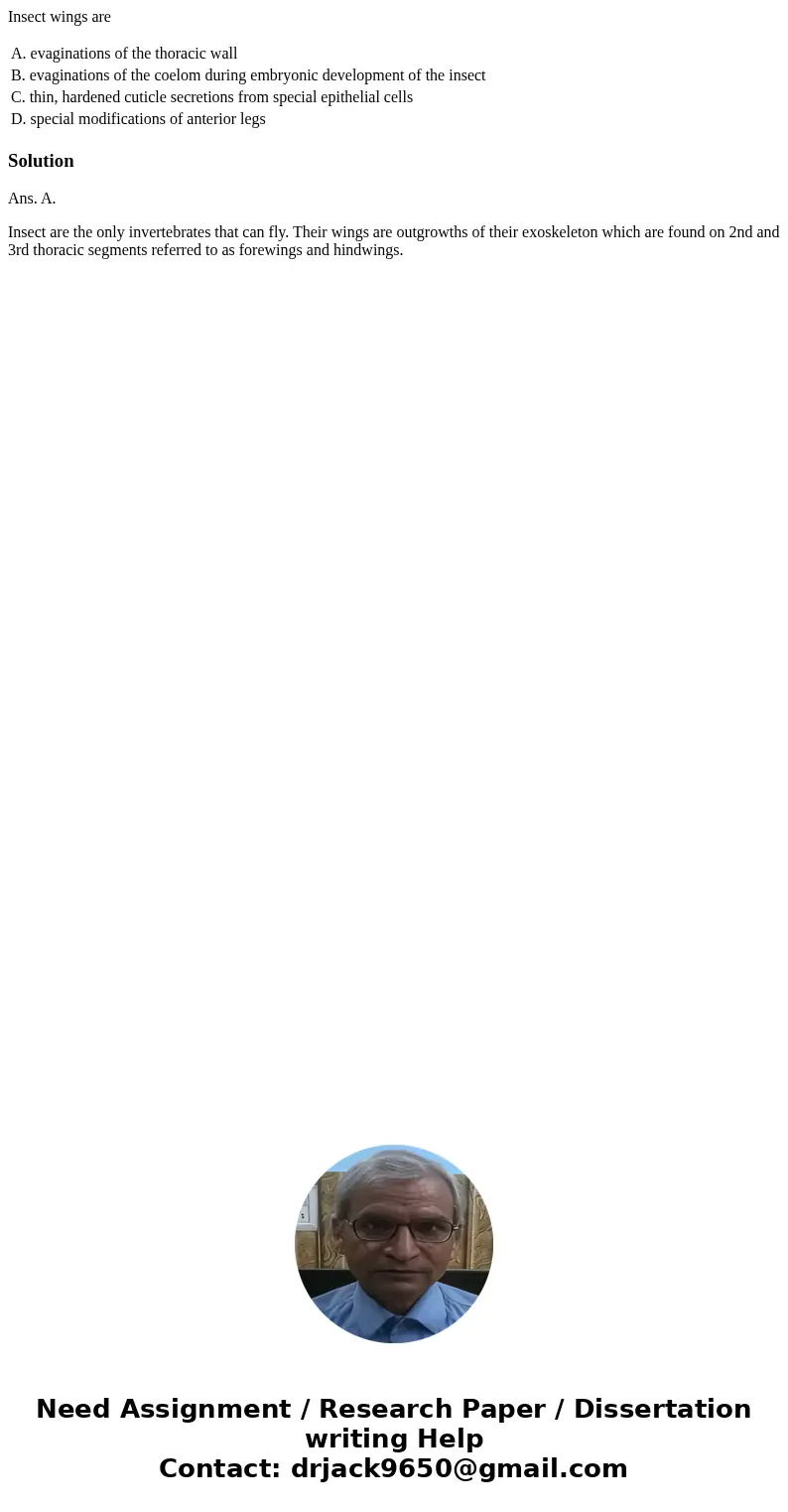 Insect wings are A. evaginations of the thoracic wall B. evaginations of the coelom during embryonic development of the insect C. thin, hardened cuticle secreti Insect wings are A. evaginations of the thoracic wall B. evaginations of the coelom during embryonic development of the insect C. thin, hardened cuticle secreti