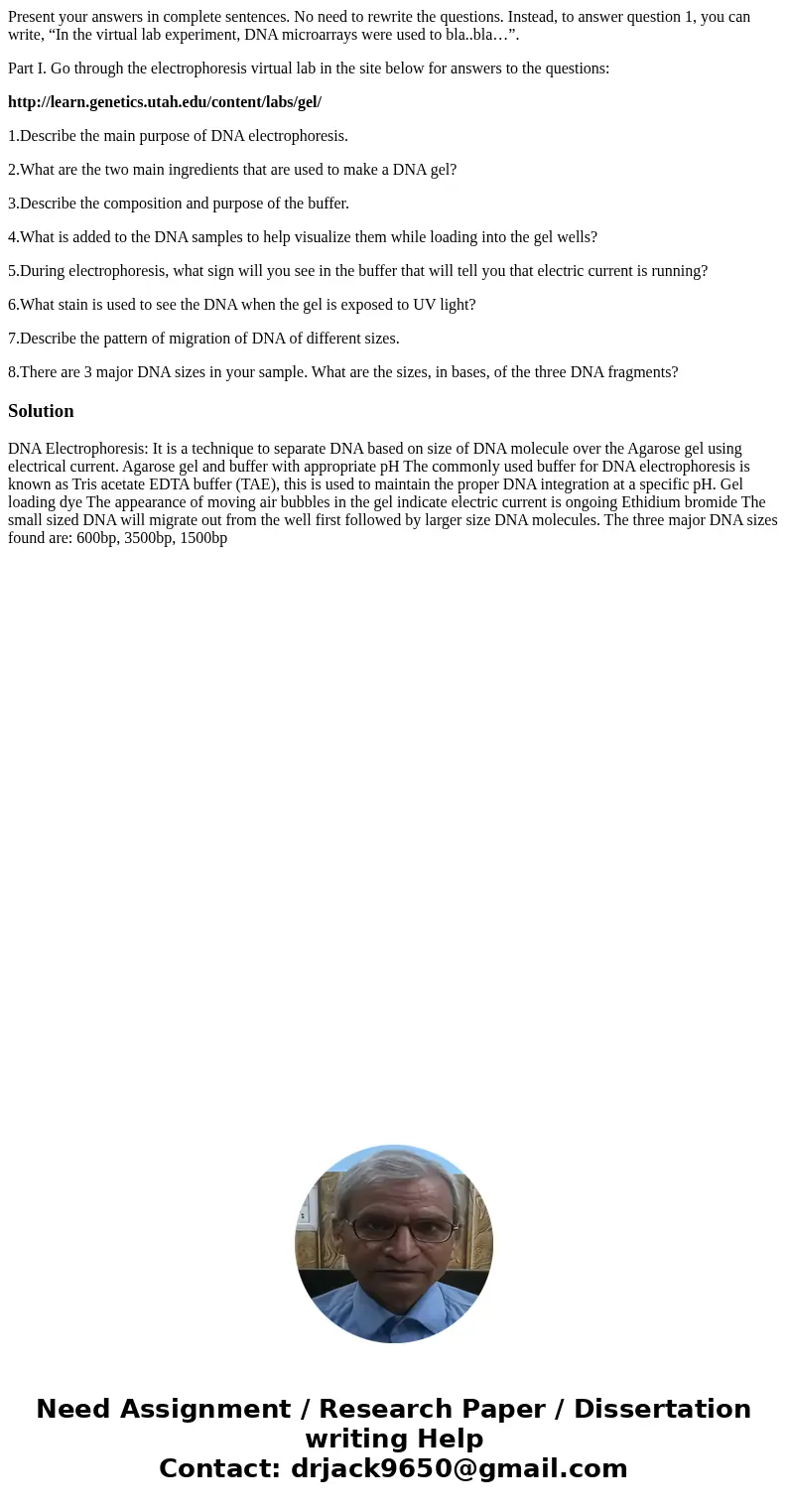 Present your answers in complete sentences. No need to rewrite the questions. Instead, to answer question 1, you can write, “In the virtual lab experiment, DNA  Present your answers in complete sentences. No need to rewrite the questions. Instead, to answer question 1, you can write, “In the virtual lab experiment, DNA