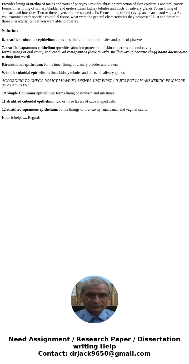 Provides lining of urethra of males and parts of pharynx Provides abrasion protection of skin epidermis and oral cavity Forms inner lining of urinary bladder a  Provides lining of urethra of males and parts of pharynx Provides abrasion protection of skin epidermis and oral cavity Forms inner lining of urinary bladder a