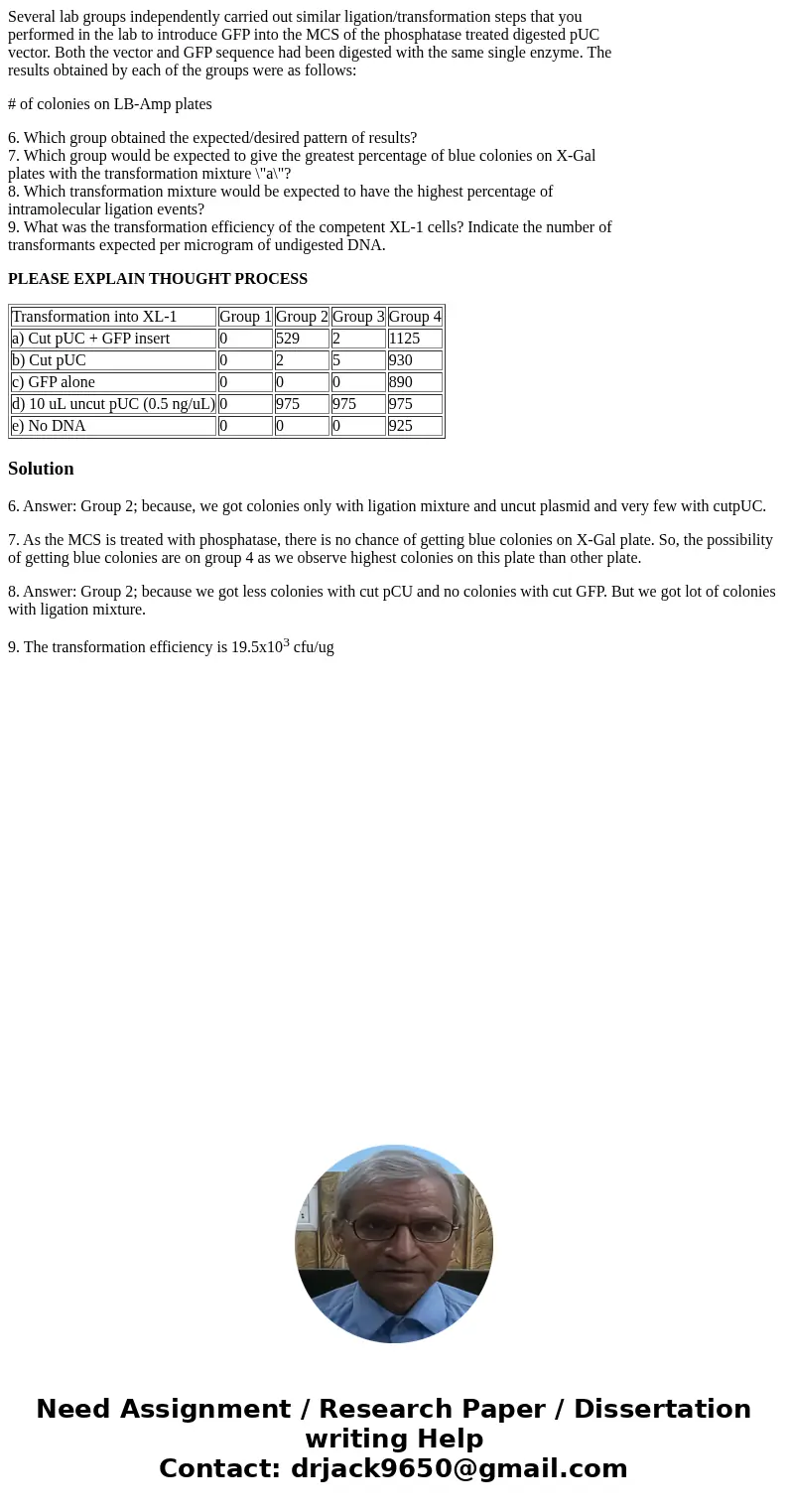 Several lab groups independently carried out similar ligation/transformation steps that you performed in the lab to introduce GFP into the MCS of the phosphatas Several lab groups independently carried out similar ligation/transformation steps that you performed in the lab to introduce GFP into the MCS of the phosphatas