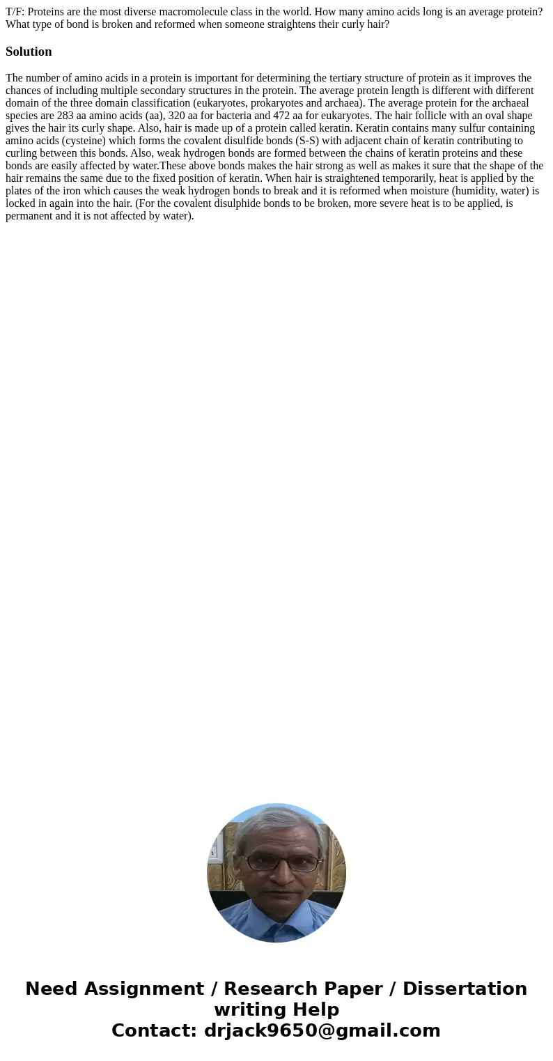  T/F: Proteins are the most diverse macromolecule class in the world. How many amino acids long is an average protein? What type of bond is broken and reformed 